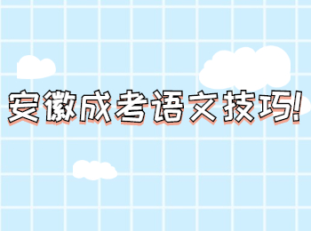 安徽成考语文技巧