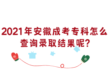 安徽成考专科怎么查询录取结果