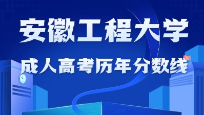 安徽工程大学成人高考历年分数线