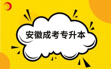 2025年安徽成人高考专升本一年有几次考试机会