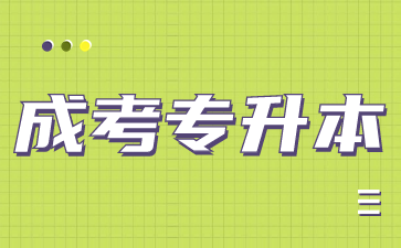 安徽成考专升本英语怎么备考？
